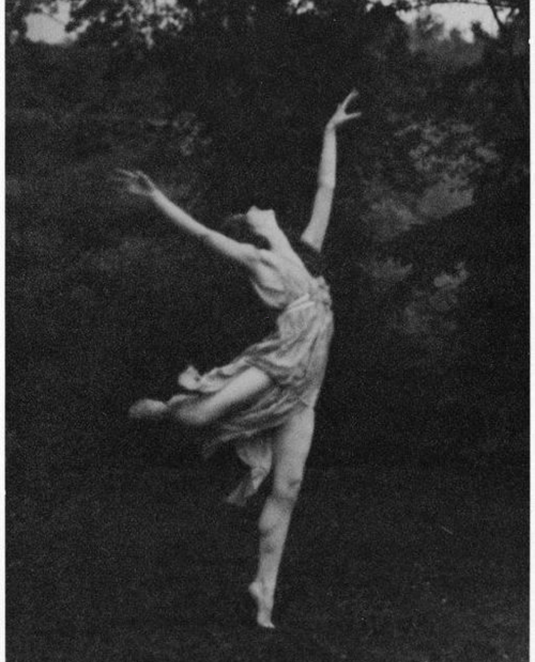 Especiales de Temporada