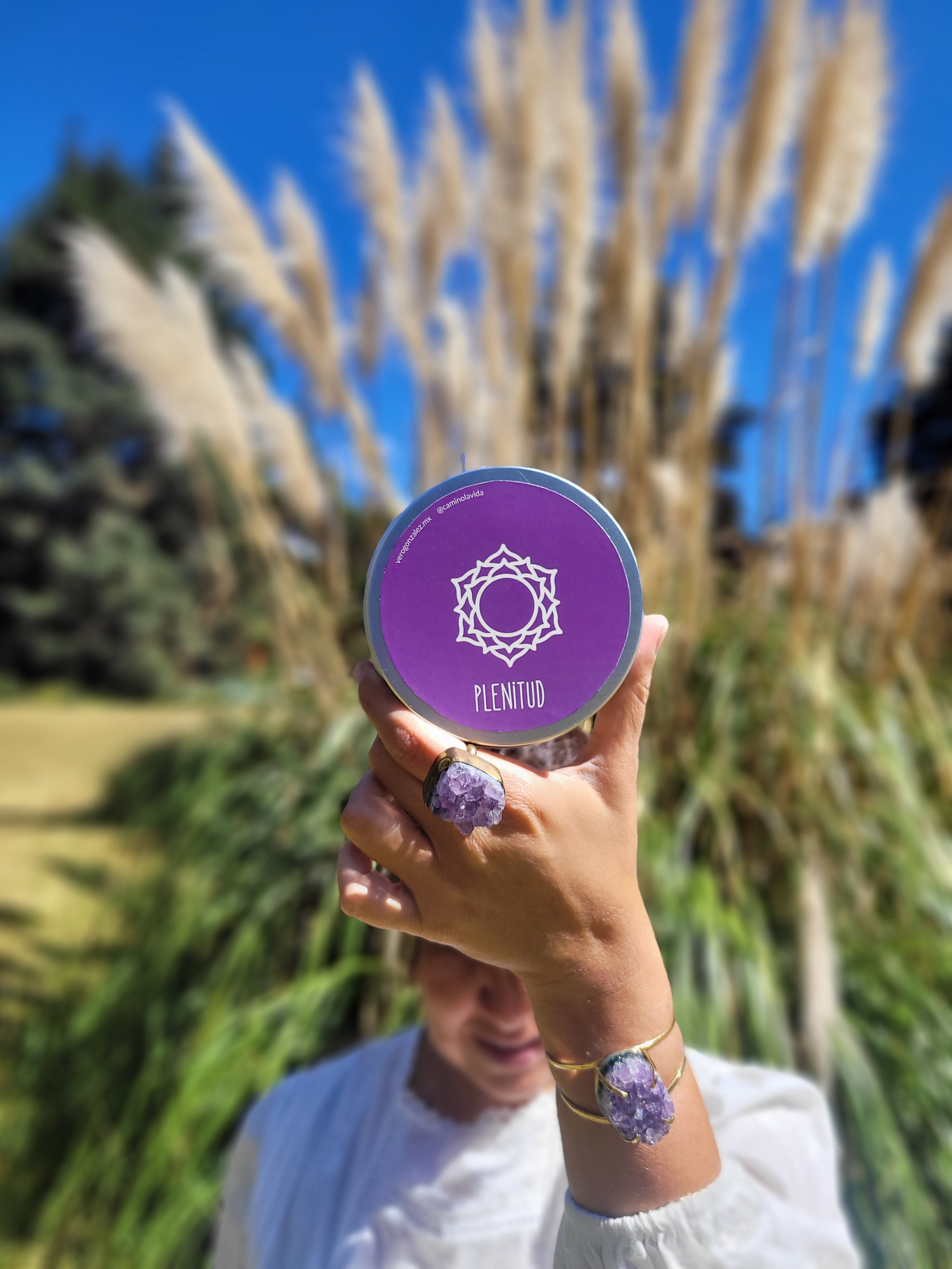 ChakraBox Plenitud