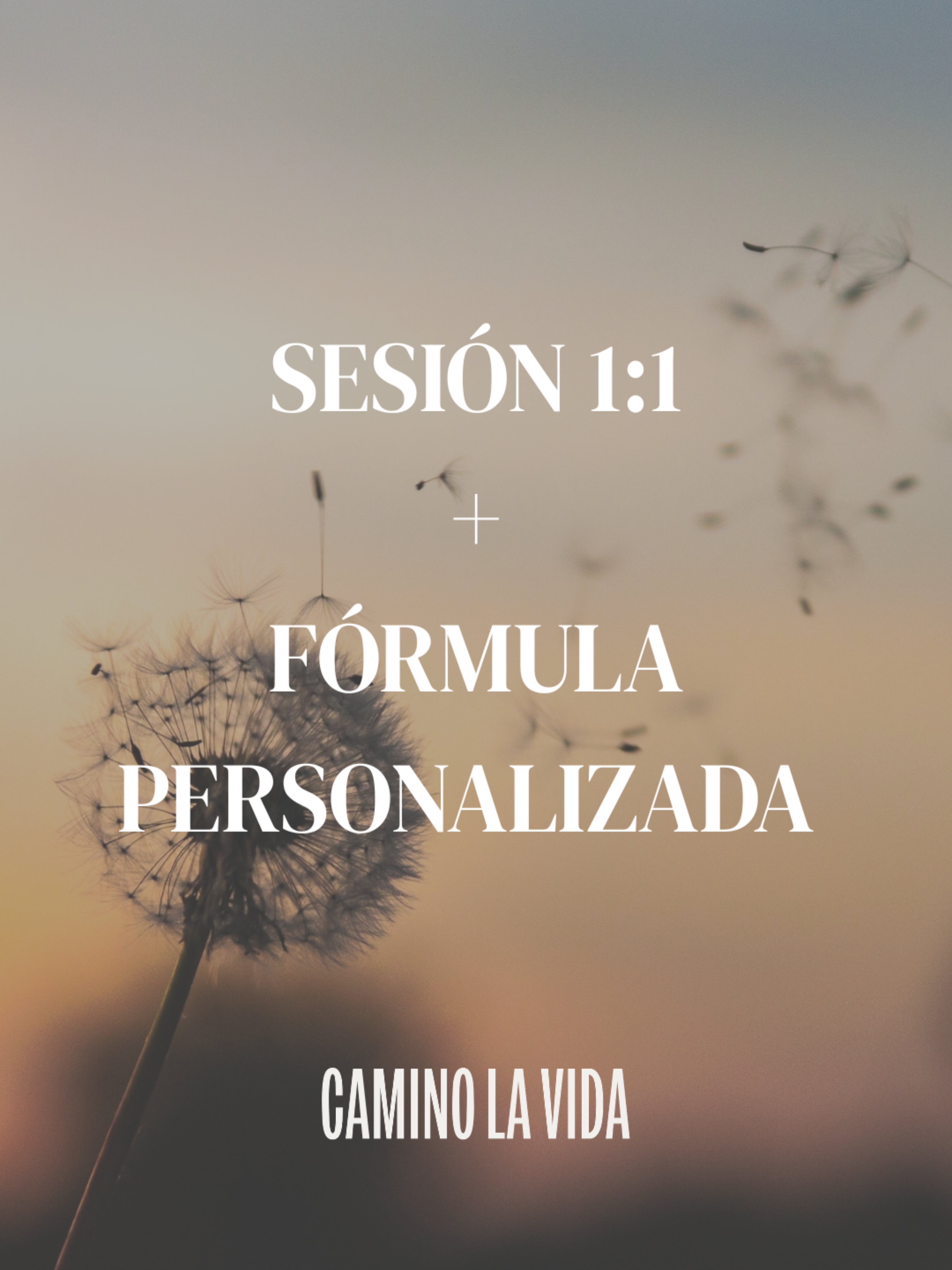 Sesión 1:1 + fórmula personalizada